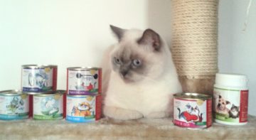 anifit katzenfutter kaufen